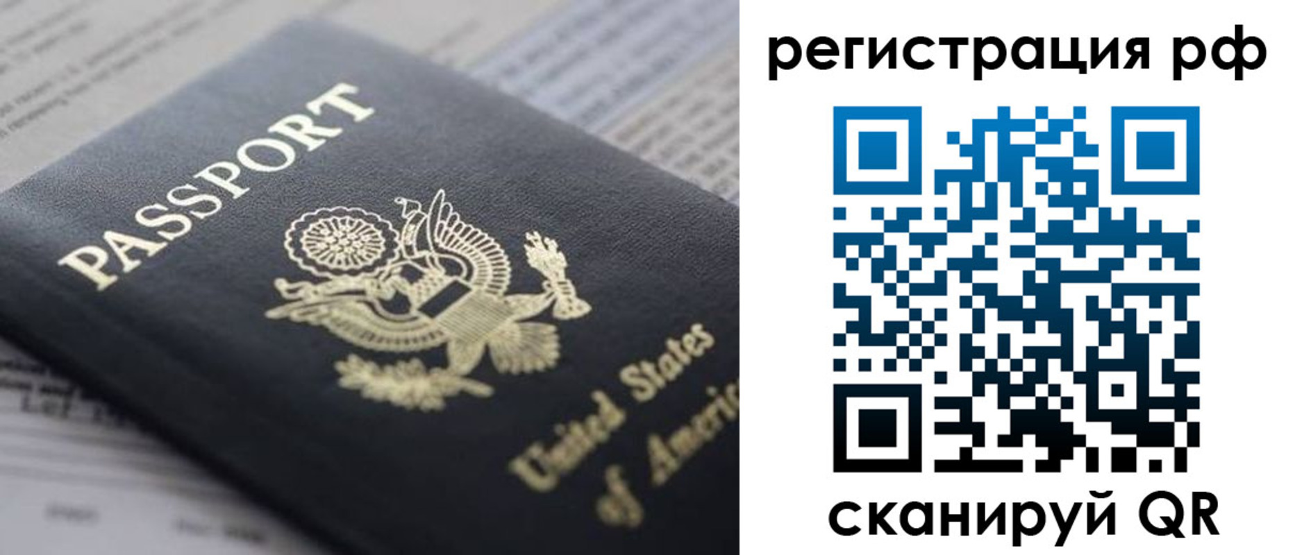 прописка поиск в Шлиссельбурге